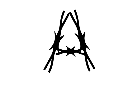 Sharp Barbed Security Wire Mono: A Bold Graphics and Crafts Asset