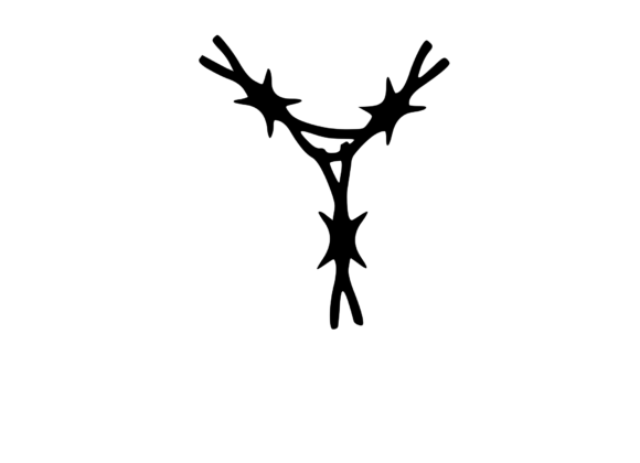 Sharp Barbed Security Wire Mono Y: A Versatile Graphics Tool for Crafts